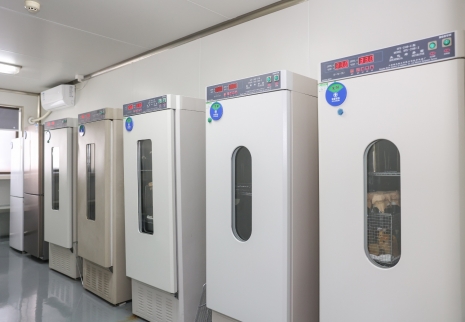 Biochemical incubator and mold incubator